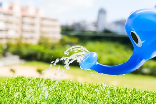 (^^)/ こんな雨の日は!! (^^)/ こんな雨の日は!!