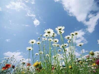 空を見上げよう☆もう自分の人生を歩む時がきたのです 空を見上げよう☆もう自分の人生を歩む時がきたのです