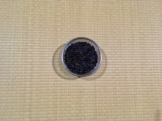 テレビの相棒見たこと無い。。Day テレビの相棒見たこと無い。。Day