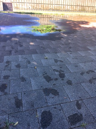 水着っ子!!Day 水着っ子!!Day