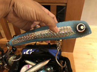 釣りのゲスト様! 釣りのゲスト様!