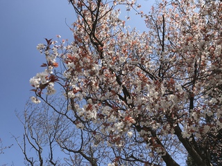 一年ぶりに三重県へ 一年ぶりに三重県へ