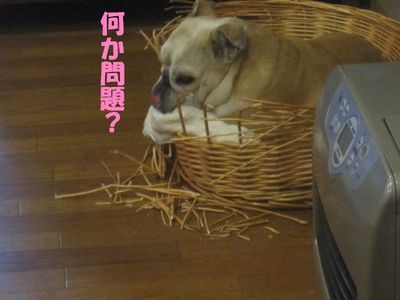 現在の形は・・・
