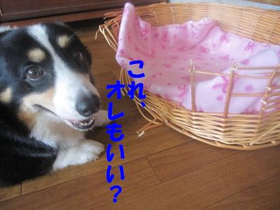 現在の形は・・・