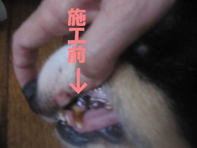 キレイ♪キレイ♪