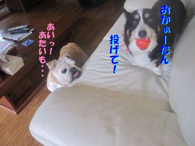 進まないんですけど・・・