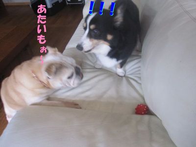 進まないんですけど・・・