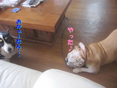 進まないんですけど・・・