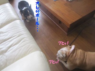 進まないんですけど・・・