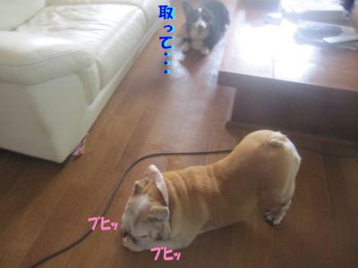 進まないんですけど・・・