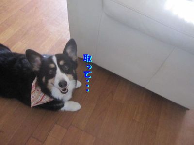 進まないんですけど・・・