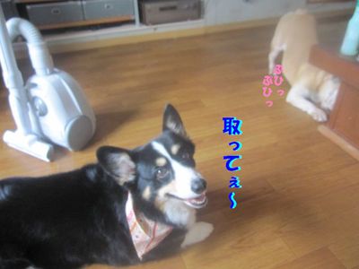 進まないんですけど・・・
