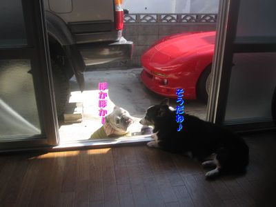 進まないんですけど・・・