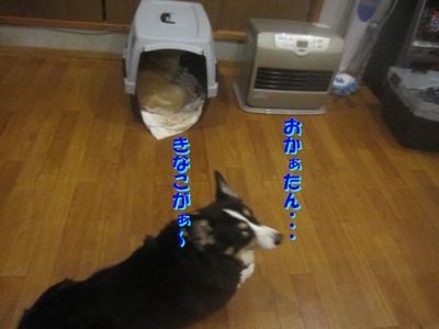 寒い一日でしたが・・・