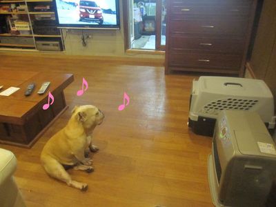 寒い一日でしたが・・・