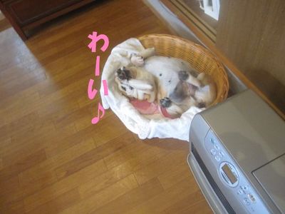 現在の形は・・・