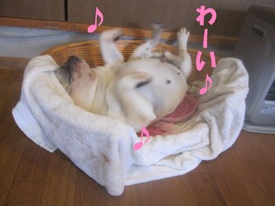 現在の形は・・・