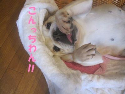 現在の形は・・・