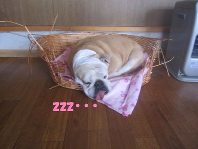 現在の形は・・・