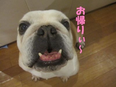ママの気持ちは・・・( ̄∇ ̄;)ガーン