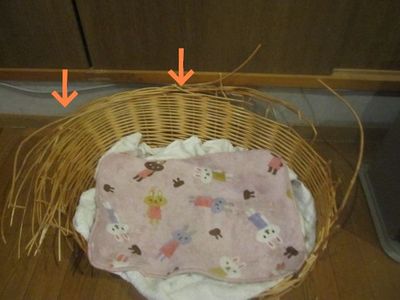 ママの気持ちは・・・( ̄∇ ̄;)ガーン
