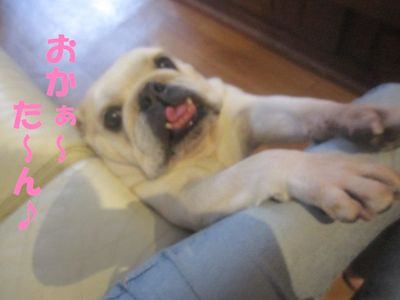 取られた・・・