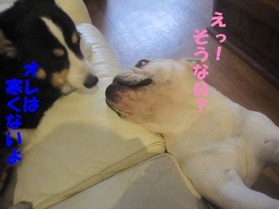 取られた・・・