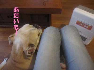 取られた・・・