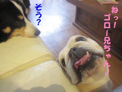 取られた・・・