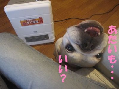 取られた・・・