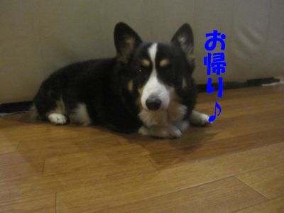 手助け有難う。( ̄∀ ̄*)
