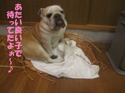 手助け有難う。( ̄∀ ̄*)
