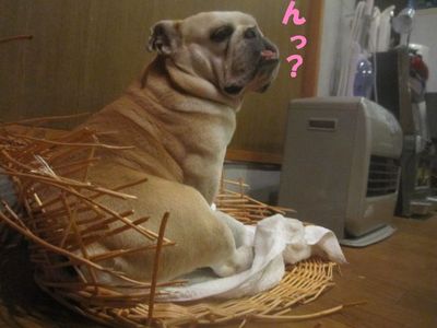 手助け有難う。( ̄∀ ̄*)