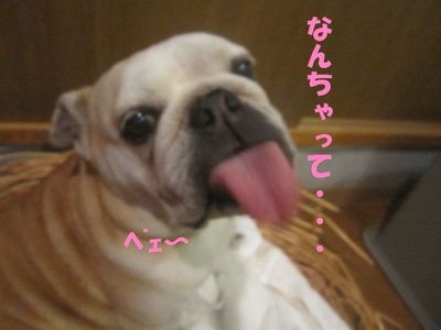 手助け有難う。( ̄∀ ̄*)