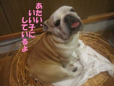 手助け有難う。( ̄∀ ̄*)