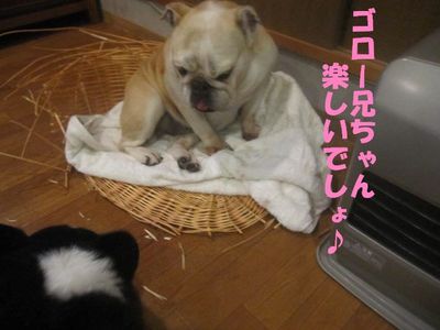 手助け有難う。( ̄∀ ̄*)