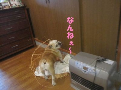 手助け有難う。( ̄∀ ̄*)