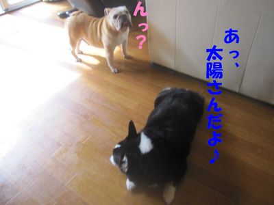 ごっ、吾郎くん・・・!?; ̄ロ ̄)