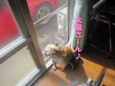 ごっ、吾郎くん・・・!?; ̄ロ ̄)