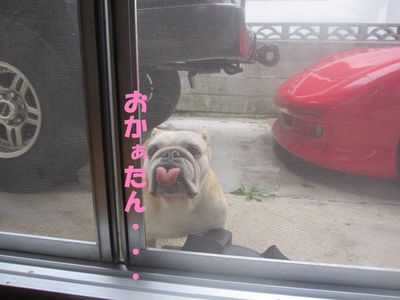 ごっ、吾郎くん・・・!?; ̄ロ ̄)
