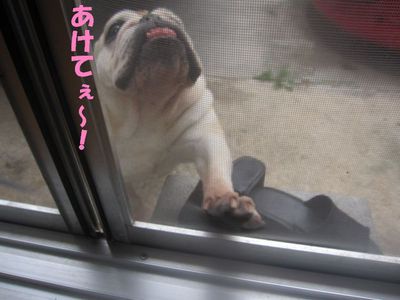 ごっ、吾郎くん・・・!?; ̄ロ ̄)