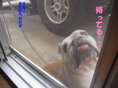 ごっ、吾郎くん・・・!?; ̄ロ ̄)