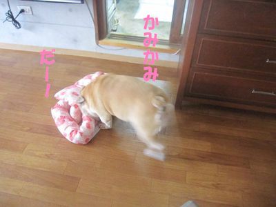 ごっ、吾郎くん・・・!?; ̄ロ ̄)
