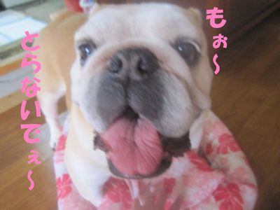 ごっ、吾郎くん・・・!?; ̄ロ ̄)