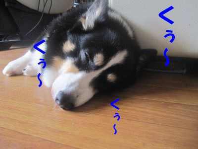 ごっ、吾郎くん・・・!?; ̄ロ ̄)