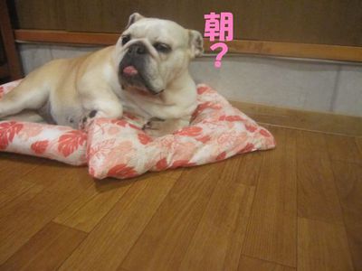 共同手段?