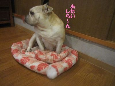 共同手段?