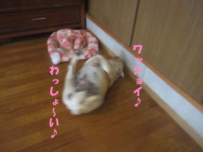 共同手段?