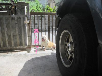 おっさん!?; ̄ロ ̄)