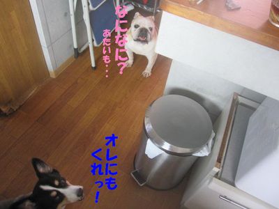 おっさん!?; ̄ロ ̄)